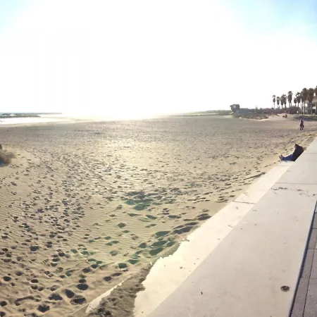 公寓 Joli 2 Pieces A 200m Des Plages Avec Terrasse Et Parking - Fr-1-338-163 塞特港