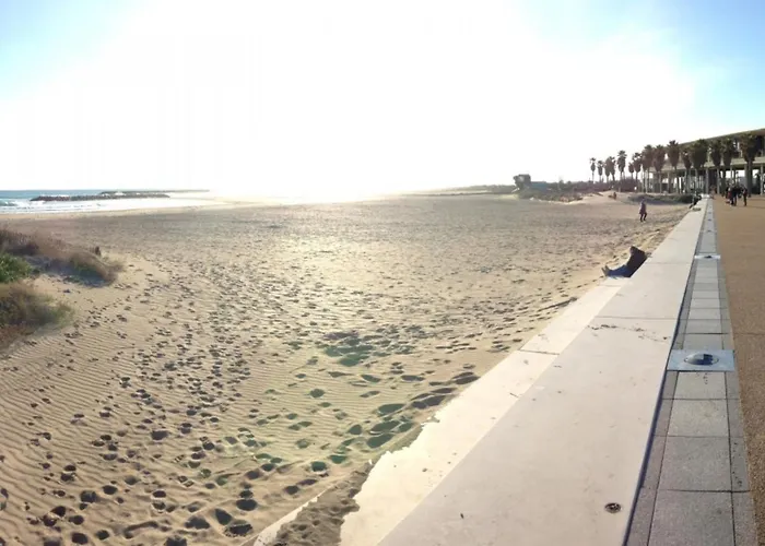Apartamento Joli 2 Pièces à 200m Des Plages Avec Terrasse Et Parking - Fr-1-338-163 Sète